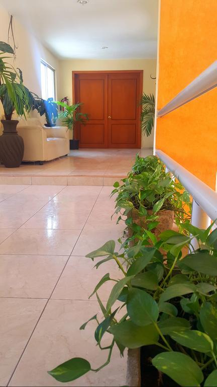 Hotel El Marques メリダ エクステリア 写真